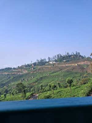 Lalu 