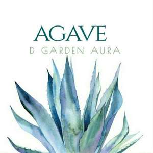 AGAVE 