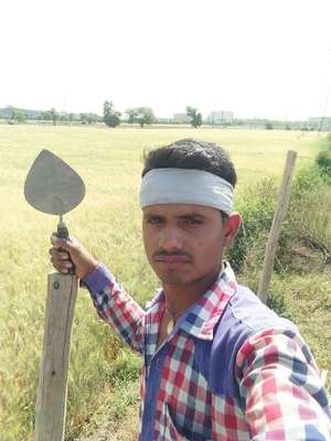 Jeevan
