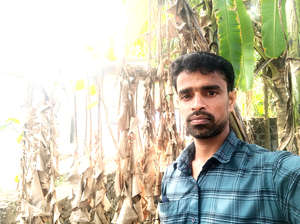 Haneefa