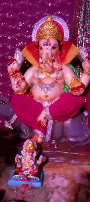 Rohit