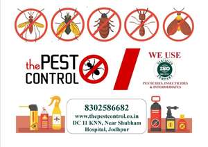 Pest Control Services