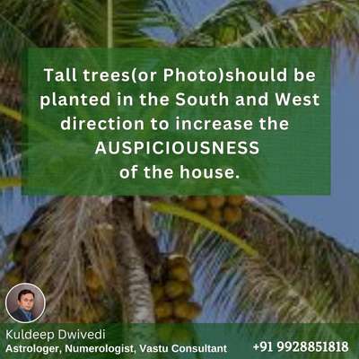 Tall trees(or Photo) should be planted in the South and West direction to increase the AUSPICIOUSNESS of the house.
.
.
#vastushastraexpert_kuldeepdwivedi #vastuforhome #vastuclasses #astrologer_in_udaipur #VastuforBedroom #homedecorstore #lifecoach #growth #astrokuldeep
