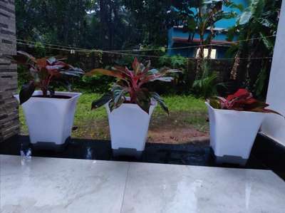 indor garden pots 

9946455152