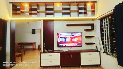 Hall partion with TV unit