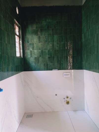വലിയ ചിലവിൽ ഒരു ചെറിയ ടൈൽ 
1.25 lakh green tile imported items made in spain