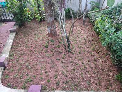 #pearl grass setting
garden work
garden maintanance