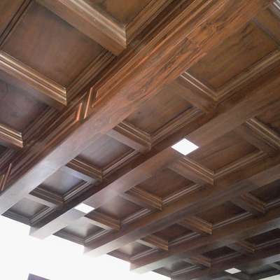 Gypsum ceiling with wooden polishing work