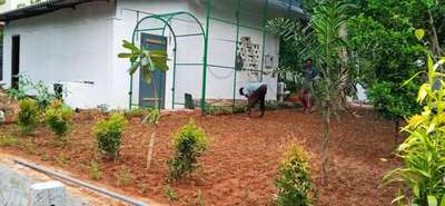 budgeted gardening #gardenforallhomes#  #townmate
contact 8156913368