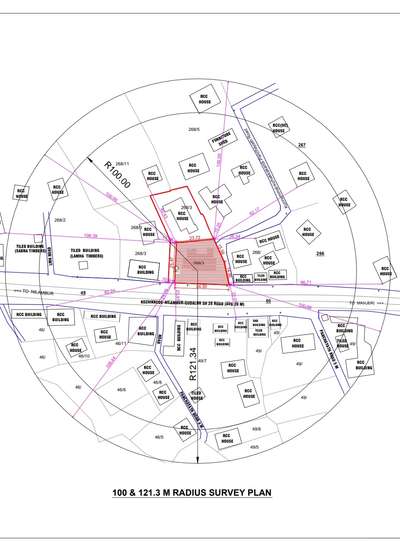 100 M radius Survey plan