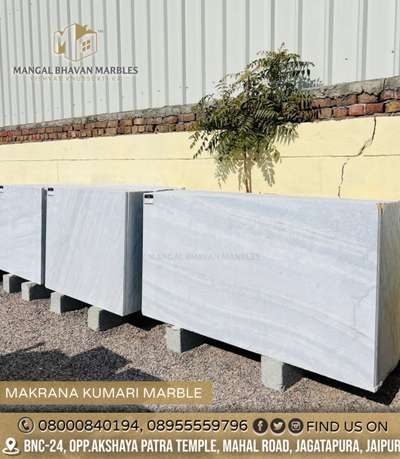 Call for Marble 8000840194

Available Premium Quality Of Makrana Kumari Marble. #makranakumarimarble 

DM FOR LOT PRICE 📩
VISIT at MANGAL BHAVAN MARBLES for Quality Marble And Granite for Your Dream Home.

📍BNC-24,Opp.Akshaya Patra Temple, Mahal Road, Jagatpura, Jaipur. 302017

#mangalbhavanmarbles #vishvaskhubsurtika
MARBLE - GRANITE - HANDICRAFTS 

DM or Call for Any Inquiry
📞 +918000840194, 08955559796 
📩 mangalbhavanmarbles@gmail.com
🌎 www.mangalbhavanmarbles.com

.
.
.
.
.
.
.
.
.
.
.
.
.
.
.
.
.
.
.
.
#whitemarble #dungrimarble #kitchendesign #kitchentop #stairsdesign #jaipur #jaipurconstruction #pinkcityjaipur #bestgranite #marblehub #homeflooring #bestmarbleforflooring #makranamarble #pwhitegranite #makranawhite #marble #indianmarble #floortiles #homedecor #marblecity #instagramreels #stonehub #tbt #trending #featured #explorepage
@mangal_bhavan_marbles