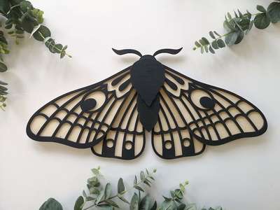 Wall hanging Acrylic Butterfly 🦋 home decor, item order Now: 9355776077 
 #HomeDecor #InteriorDesigner