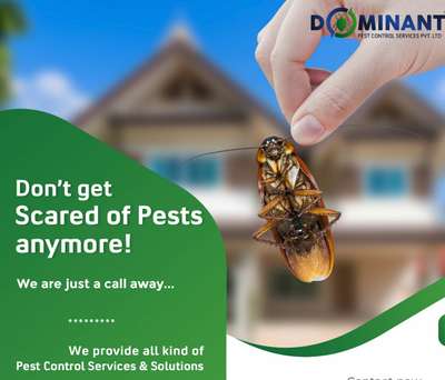 enqiry 8089618518
Are u afraid of Irritiant Pests like
Ants, Cockroaches, Millipedes, Centipedes, Crawling insects..
we are here to remove all...
call us @8089618518