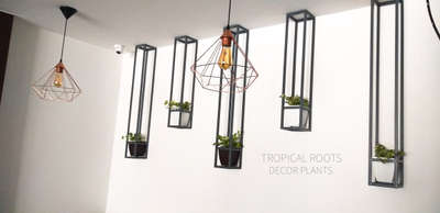 plant fixtures for wall by tropical roots decor plants&landscaping, Kochi