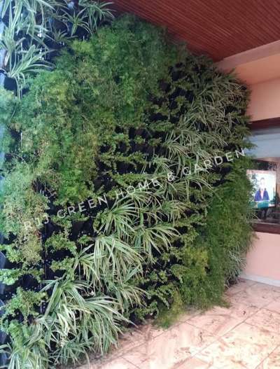 #rjj green home & garden
 #artificialgrassexpert  
 #WallDecors 
 #warticlegarden
