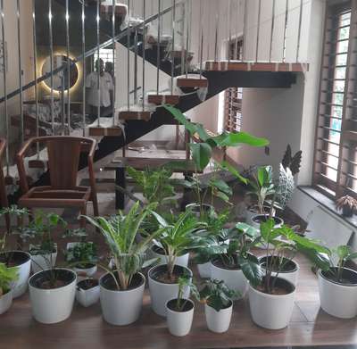 Interior work, Indoor plants setting @ Kulathur , near Infosis , Trivandrum . # # #