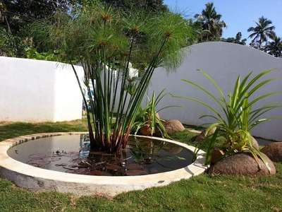 for any Landscape Work Contact 8086360777