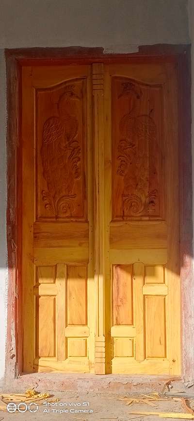 പ്ലാവ് double door