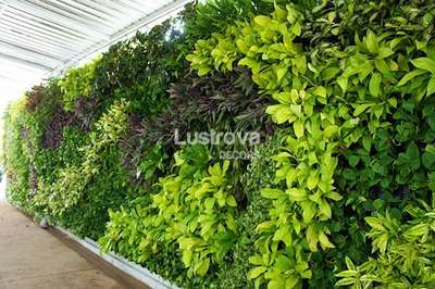wall design 
using  #wall #Plants #nature  #decors  #architecture  #kozhikode  #artificialplant  #kerala  #india  #