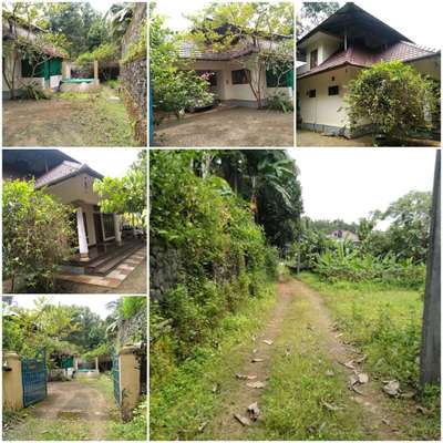 15 cent land, single storied 3000sqft house.. 3 bed room with bath attached,kitchen hall etc.6 yr old house. 
for more details plz contact 7306764147