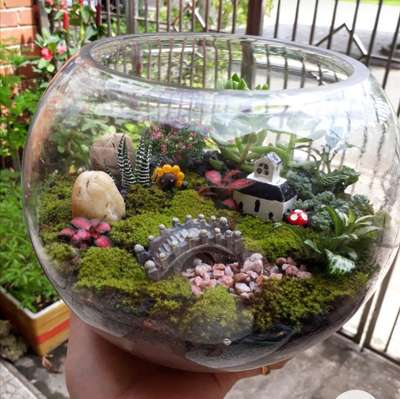 Customized Terrariums for gifting and bringing nature inside your home