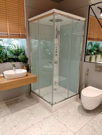 glass partition in toilet actual site image
