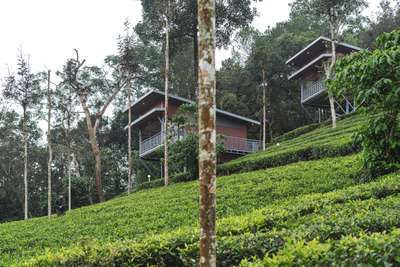 Strem view Resort at vythiri, Wayanad 
. 
The site is located at wayanad in a tea plantation with a beautiful stream flowing through it.
 The site has gradual slope with a tropical dense forest on one side. The design brief was for three cottage and a pool area to be constructed in phases. The first place involved two cottages. Due to the sloping nature of the site the cottages have been designed on stilts so as to give an illusion that they are floating over the tea plantation. The cottages have been designed with providing views of the stream and surroundings. Large glass areas have been used to provides a space to enjoy the views while winding down in the evening.
. 
. 
. 
. 
. 
. 
#resort #wayanad #dezeen #designexterior #facade #archdaily #architecturelovers #nature #forest #vythiriresorts #modernfacades  #teaplantation #projects #rplusaarchitects #stay #wayanadgram #architecture #tourism #kerala #keralatourism #godsowncountry  #architectsinperinthalmanna #vythiri #vythiriwayanad