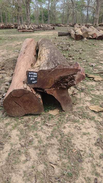 Erool round logs