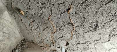 #Anti-Termite #termaite  #constructio_termite_treatment  #termitecontrol #termiteresistant
call us for termite control
all kerala service
#all_kerala  #allkeralapestcontrol
