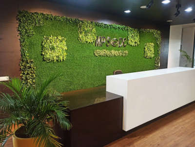 Reception Designed for MPSEDC (State IT Centre) Bhopal 🌿

DM for orders and enquiries.
#bhopal #artificialwallgrass #artificialfloorgrass #floorgrass #creativegardens #creativity #gardens #plannters #naturalgardens #nature #bestgardens #fountains #annudaycreativegardening #artificialgrass #artificialgrassexperts #bamboowork