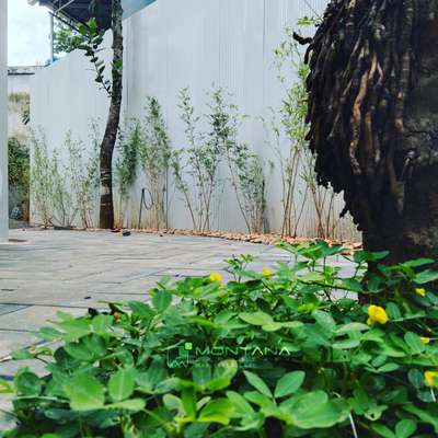 #montanalandscape #Landscape  #LandscapeIdeas  #LandscapeDesign  #GardeningIdeas  #IndoorPlants  #plants  #BangaloreStone  #peralgras  #pebilstone  #Lawncare