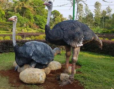 sculpture #ostrich sculptre #park art #rosepark@#thekkady #kumily