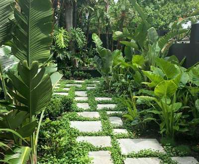 Backyard Landscaping Done!