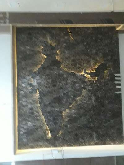 india map on office wall with lightning 
 #InteriorDesigner 
 #wall interior