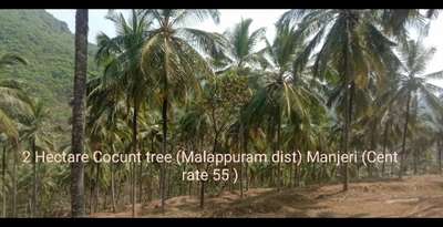 Sales for land Malappuram dist Manjeri... ariecode road 8129318945