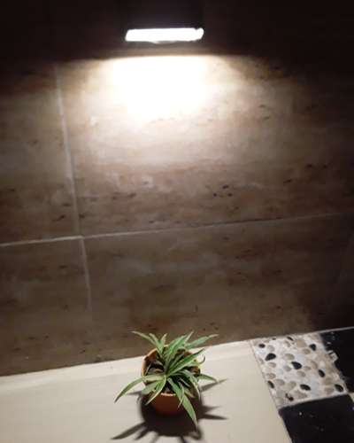 Indoor landscape 

#Architecture #architect #landscape #design #indoor #gurugram #lighting #renovation #flooring #construction #drawings #tiles