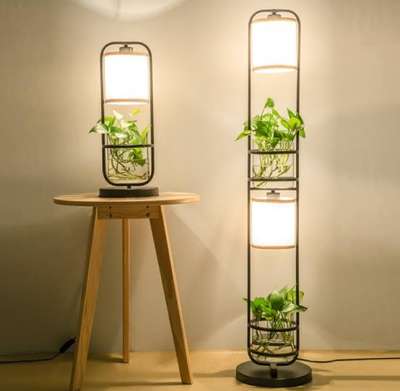 Indoor plants and lighting idea #IndoorPlants  #indoorlights  #HomeDecor  #peacefull  #plantlove  #indoordesign  #handmade