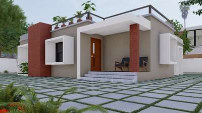 #singlestoriedhouse
 #moderndesign 
 #lowcosthouse
