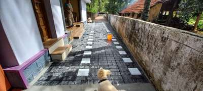 Interlock work 
 #tiles  #paving tiles  #interlock  #garden