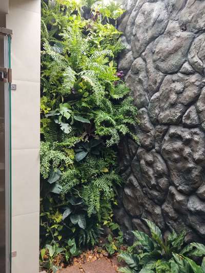vertical garden inside court with cement finished wall art