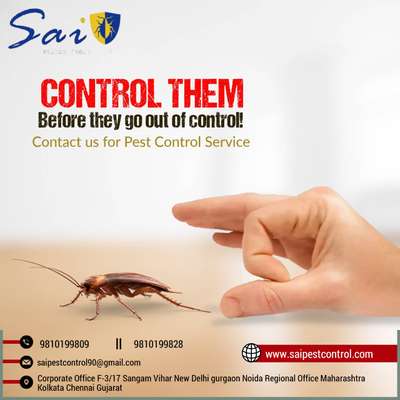 #All pest problem solved.