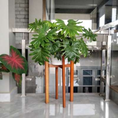 For Wooden Pot stand 
call : 8330020065