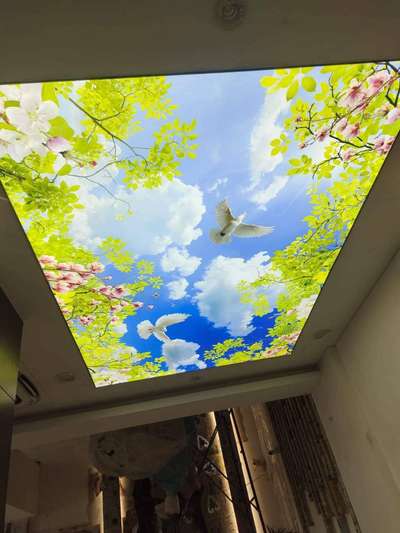 3D ceiling available  #