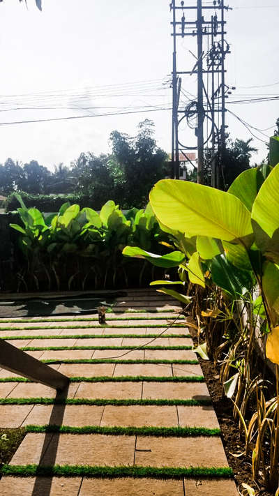 Mr munna residence 
Landscape project @tcr 
#5dotsarchitecture #LandscapeDesign #architecturedesigns  #exteriordesigns  #greencaplandscape  #tropical  
#Pavements  #Interlocks  #tandoorstone #naturalstones 
#budgetindiandesigners  #artificialgrass  #linear #trendingdesign