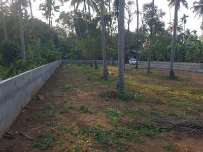 30 cent residential plot with compound wall for sale in thanikkudam thrissur 0.5 km from thanikkudam temple,school, supermarket, good water availability, 3 lakh per cent contact 7510544895