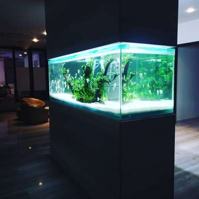 #aquarium #Architect #artechdesign #InteriorDesigner #Acrylic #glassworks #fishtank #WaterFilter