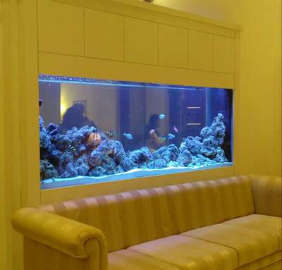 partition wall aquarium  #aquarium  #interior  #wall_aquarium  #fishtank