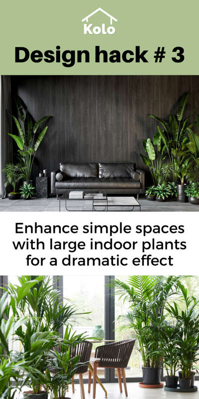 Want to add drama to a plain space?

Check out our design hack #3 to create a green aesthetic effect.

Learn tips, tricks and details on Home construction with Kolo Education 🙂

If our content has helped you, do tell us how in the comments ⤵️

Follow us on @koloeducation to learn more!!!

#education #architecture #construction  #building #interiors #design #home #interior #expert #indoorplants  #koloeducation  #designhack