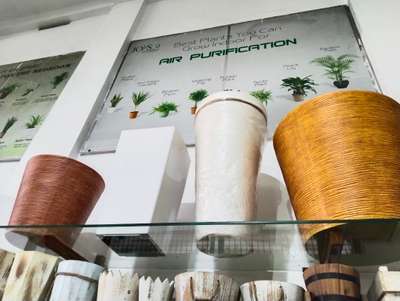indoor pots 
 #mannuthy 
#LandscapeIdeas #LandscapeGarden