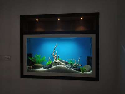 show case aquarium
#aquarium #showcasedesign #Architect #InteriorDesigner #Architectural&Interior #LivingroomDesigns #wall_aquarium #fishtank #Arrivaeinteriordesign
